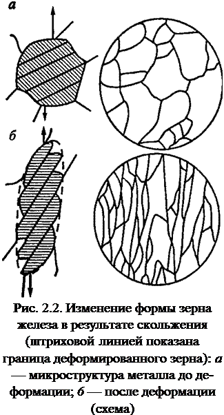 Подпись: Рис. 2.2. Изменение формы зерна железа в результате скольжения (штриховой линией показана граница деформированного зерна): а — микроструктура металла до де-формации; 6 — после деформации (схема) 